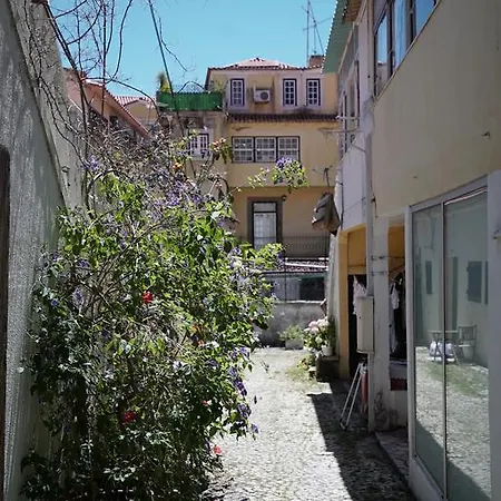 Secret Spot In Lapa Appartement