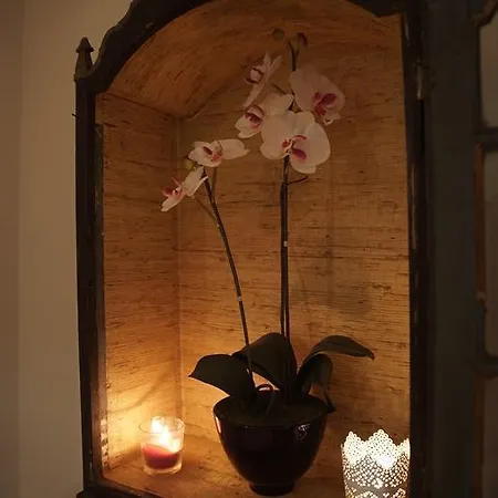 Secret Spot In Lapa Appartement *